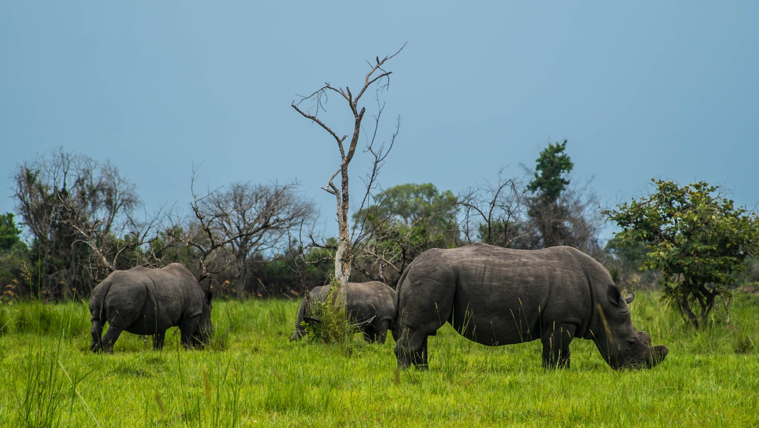  Ziwa Rhino Sanctuary